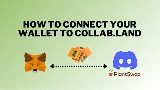 How To Connect Your Wallet To Collab.Land - PlantSwap