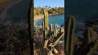 Угадайте в какой стране находится этот пляж 🌴