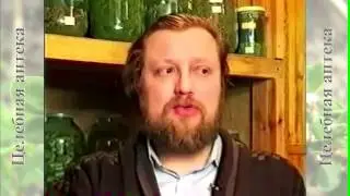 Одуванчик лекарственный часть 2
