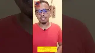 kenapa arnab pelangi lama menyepi