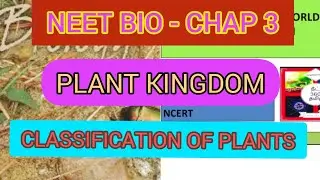 INTRODUCTION | CLASSIFICATION OF PLANTS | MODULE 2 | NEET BIOLOGY | CHAP 3 | PLANT KINGDOM