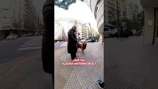 Gracias señora por poder contar la historia y felicitaciones por Sandy que es una belleza