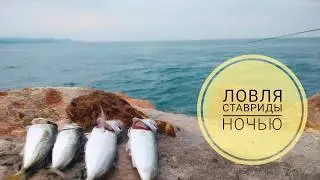 Ставрида с берега в Черном Море на ультралайт спиннинг.