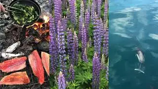 The Salmon Sisters | Alaska's Wilderness