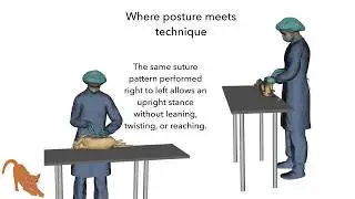 Spay Neuter Ergonomics Webinar