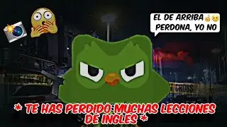DUOLINGO viene a Visitarme a las 4 am