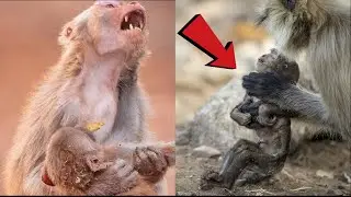 This video will make YOU CRY😭2022 first die