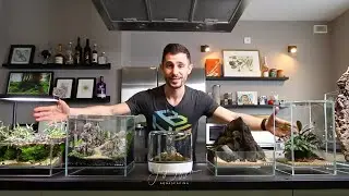 DOOA 20x20x20 Nano Aquascape Tutorial - STEP BY STEP Aquascaping Beginner Guide