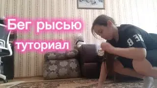 Бег рысью туториал/квадробика