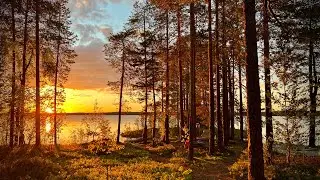 Путешествие на самое дикое озеро в Карелии. Часть первая.