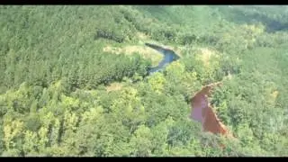 Alabama, Georgia Declare 'State of Emergency' After Massive Pipeline Spill