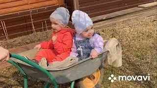 Счастье моё😘😘😘 внучки🥰🥰🥰