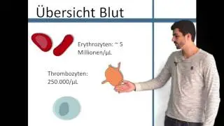 Blut - Grundlagen Version 2016