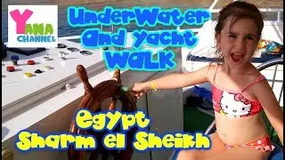 Sea and underwater walk. Beauty of Red Sea Egypt Sharm El Sheikh: Морская прогулка по Красному морю