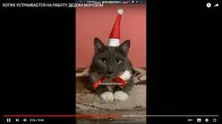 КОТИК УСТРАИВАЕТСЯ НА РАБОТУ ДЕДОМ МОРОЗОМ
