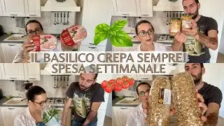 IL BASILICO CREPA SEMPRE! SPESA SETTIMANALE - Eleonora Home