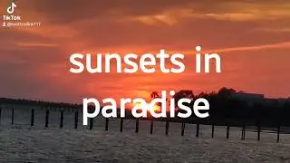 sunset st joe beach