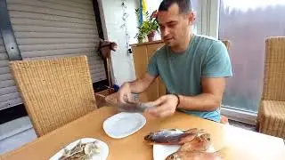 Тарань, лящ в Німеччині #КЛТ