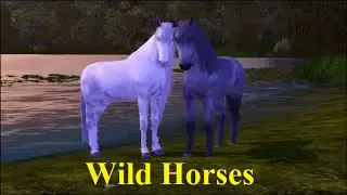 The sims 3 - Wild Horses (ДИКИЕ ЛОШАДИ)