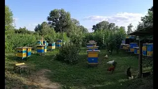 Харьковский пасечник