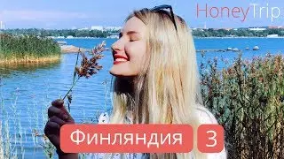 Из Хельсинки в Таллин и обратно, кафе с сосисками на костре, итоги и конкурс / Финляндия 3 часть