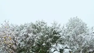 I Love Fall!!!!