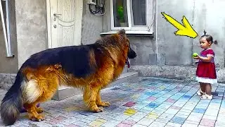 Девочка спасла нелюбимую собаку с рынка. То, что сделала собака дальше, поражает!