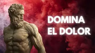 Estoicismo en Tiempos de Duelo: Cómo Manejar la Pérdida