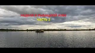Неделя в рыбацкой избе\\КЛАССНЫЙ УЛОВ\\МОРЕ РЫБЫ\\ОГРОМНЫЙ ОКУНЬ \ часть2