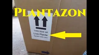 Plantazon scelta giusta per regalare piante Gardeners' World Tutorial Giardinaggio