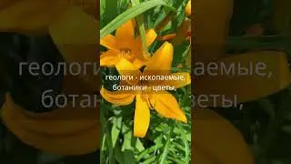 Джон Леббок. 30 июля 2023 года. Цитата дня