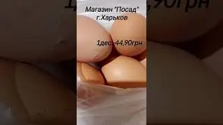 Цена за 1 десяток куриных яиц 