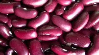 Kidney Beans! Grow Your Own Re-Fried Beans