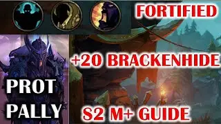 WOW DRAGONFLIGHT FORTIFIED +20 BRACKENHIDE HOLLOW (BH) SEASON 2 MYTHIC PLUS GUIDE PALADIN TANK POV