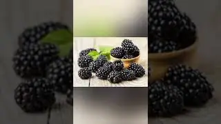 Польза и вред ежевики
