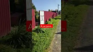 Дача. 