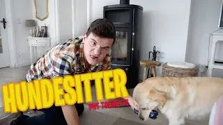 Tourette as a dog sitter
