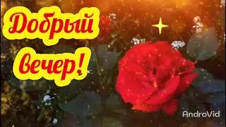ДОБРЫЙ ВЕЧЕР!  Я за тебя у Бога попрошу Открытки добрый вечер Пожелания доброго вечера