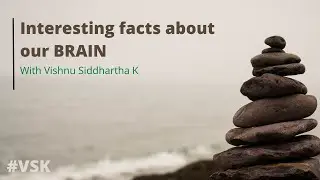 Top 10 Interesting facts about our BRAIN || #brain #learning || #VSK