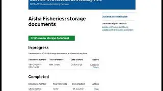 How to copy a storage document for exporting.