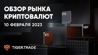 Скальпинг криптовалют с Tiger.Trade (17.02.2023)