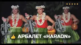 ⭐️ КОМПАКТНЫЙ МИНИ АРБАЛЕТ BEARHUNTER 