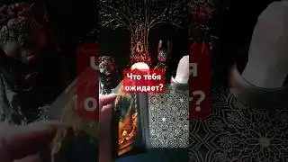Что тебя ожидает? #таро #shortsvideo #гадание #гаданиеонлайн #расклад #ленорман #tarot #тароонлайн