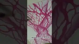 Нейрографика -- способ поговорить с собой. Нужны только карандаши, маркеры и лист бумаги #shorts