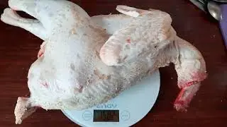 Порода Ленинградская белая. Петушки 4 месяца.