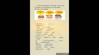 use of articles A / an / the  English grammar fill in the blanks with answer / sentence
