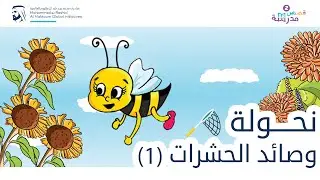 نحولة وصائد الحشرات | الجزء الأول | قصص مدرسة