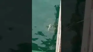 Работайте братья 😂😂😂😂😂😂