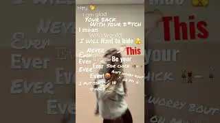 Your side chick 