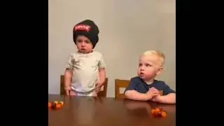 The look they give each other says it all 🤣